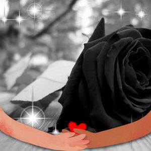 Meet your Posher, Yesenia